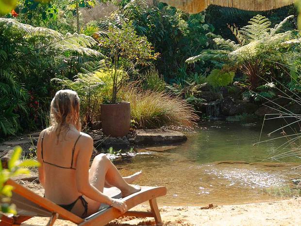 Photo 2 for Earthing Byron Hinterland Hideaway