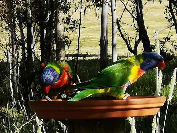 Photo 21 for Kangaroo Creek Cottage