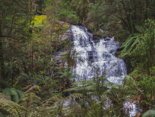 Photo 38 for Submerged in the Otways