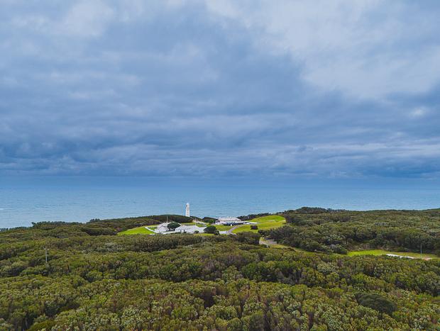 Photo 31 for Submerged in the Otways