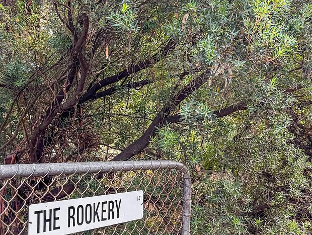 Photo 38 for The Rookery at Venus Bay