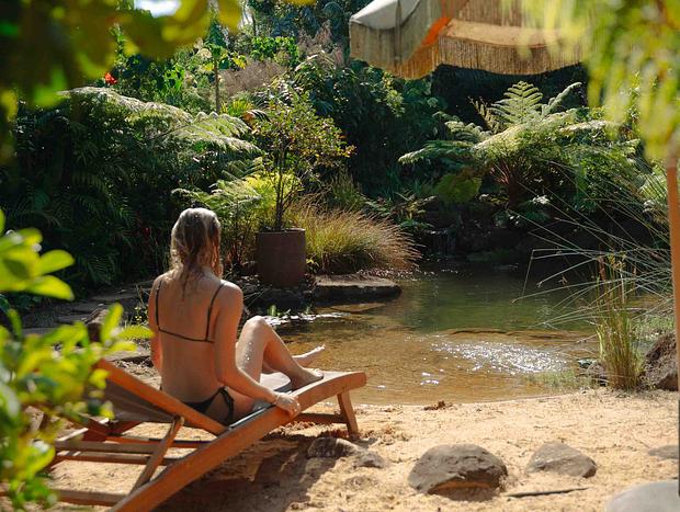 Photo 17 for Earthing Byron Hinterland Hideaway