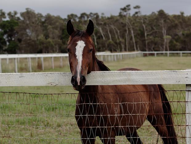 Photo 4 for Secluded Camping - Sugar Beach Ranch