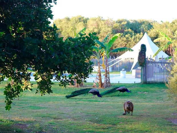 Photo 19 for Secluded Camping - Sugar Beach Ranch