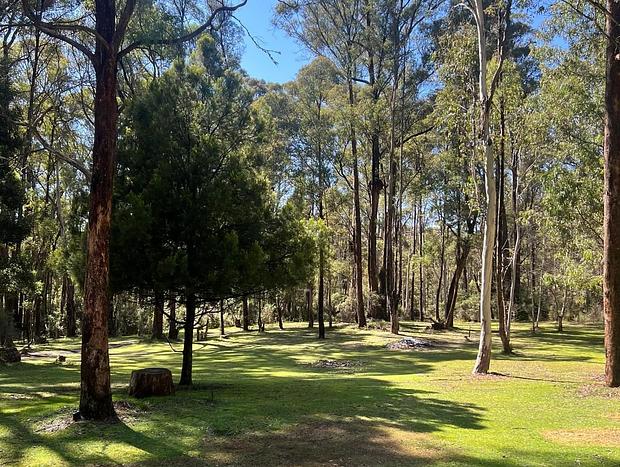 Photo 13 for Experience luxury and immersion with nature at Greenwood Cottages