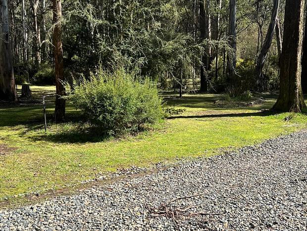 Photo 14 for Experience luxury and immersion with nature at Greenwood Cottages