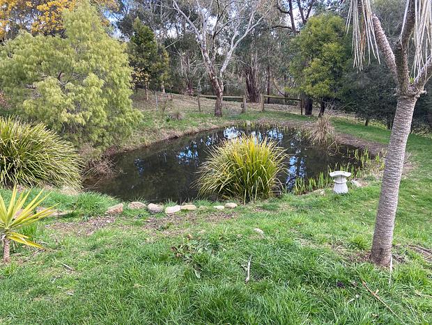 Photo 34 for Libelle - Tiny house on 3 acres IN Daylesford - Secluded Luxury!