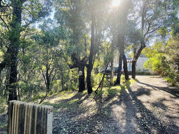 Photo 46 for Tranquil Surf Coast escape nestled in the trees