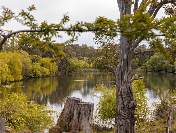 Photo 7 for Enchantment Tucked Away By The Lake