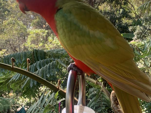 Photo 18 for PARADISO ON DANGAR
