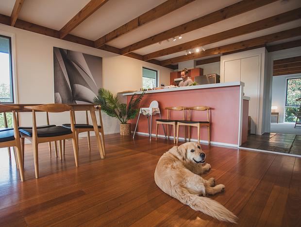 Photo 8 for Two Story, Two Dogs & Twenty Years In Between