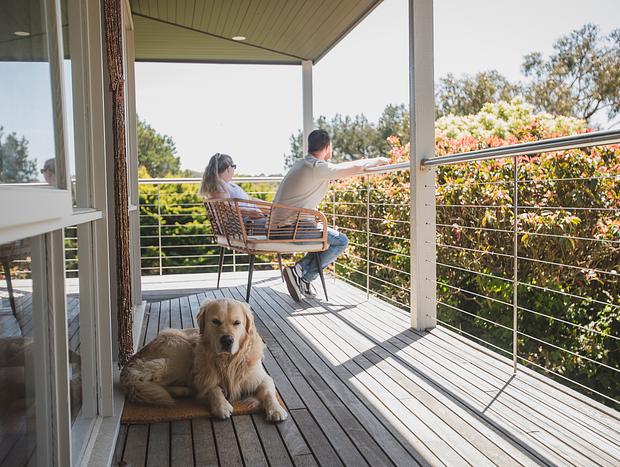 Photo 4 for Two Story, Two Dogs & Twenty Years In Between