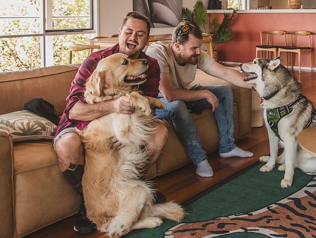 Photo 2 for Two Story, Two Dogs & Twenty Years In Between