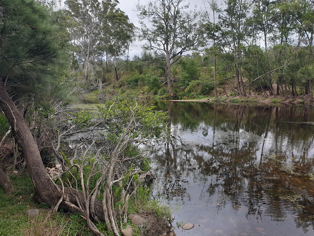 Photo 4 for 1st Flat - Old Jinker Crossing