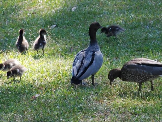 Photo 21 for The Bower @ Wildside Sanctuary