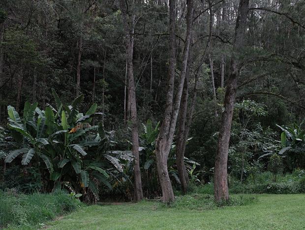 Photo 23 for Nulla Nulla Blacksmiths Rest Cabin - Romantic Woodland Creekside Doggie friendly