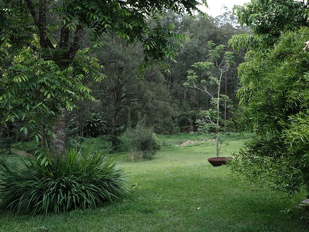 Photo 24 for Nulla Nulla Blacksmiths Rest Cabin - Romantic Woodland Creekside Doggie friendly