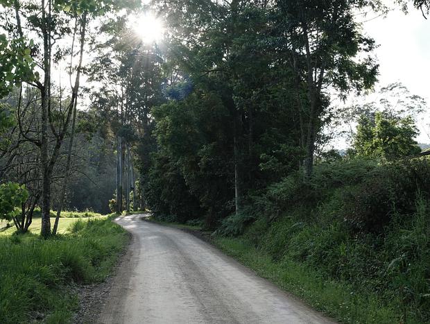 Photo 21 for Nulla Nulla Blacksmiths Rest Cabin - Romantic Woodland Creekside Doggie friendly