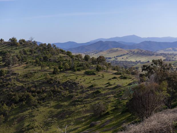 Photo 1 for Bushwalking on the Property