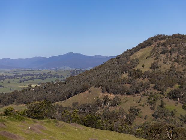 Photo 3 for Bushwalking on the Property