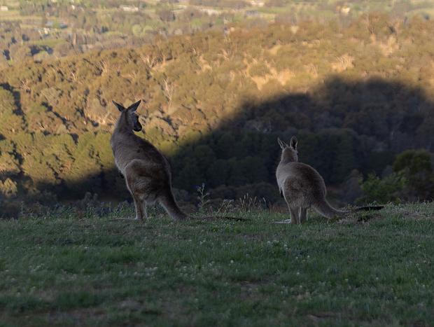 Photo 4 for Bushwalking on the Property