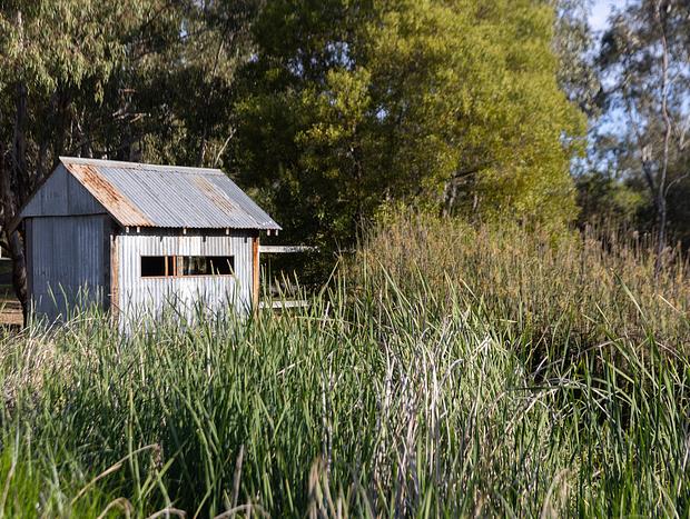 Photo 3 for Mansfield Mullum Wetlands