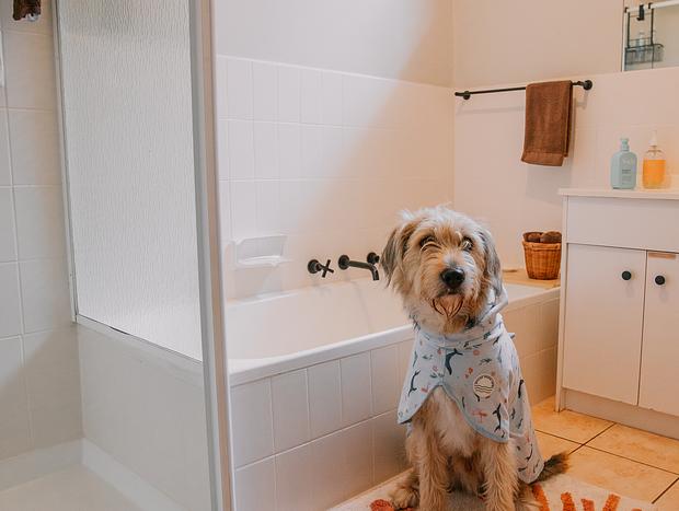 Photo 20 for Dog Friendly Abode with Vintage Charm