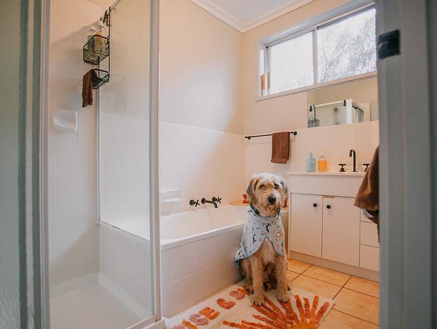 Photo 28 for Dog Friendly Abode with Vintage Charm