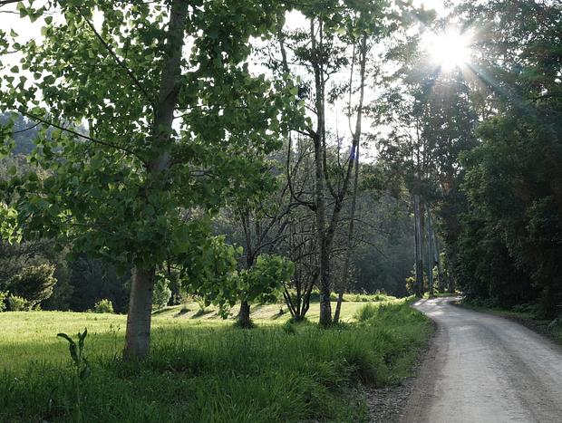 Photo 54 for Nulla Nulla Riverside Homestead - sleeps 8 folks, & dog friendly