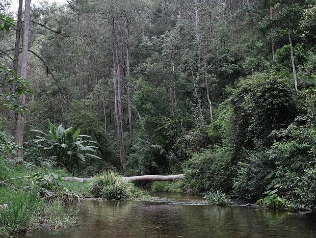 Nulla Nulla Creek