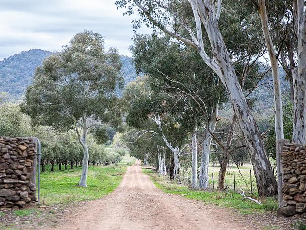 Photo 12 for Olive Press Cottage - Mudgee NSW