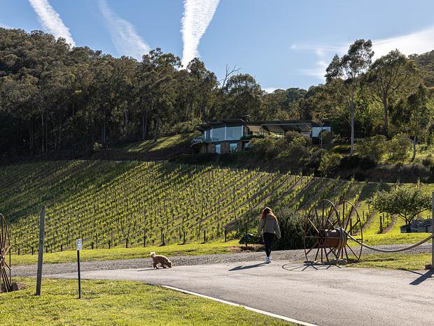 Photo 37 for Marvelous Landscapes, Wine, and Everything Devine