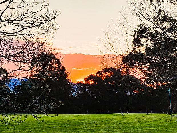 Photo 12 for Ironbark Cabin Lovedale