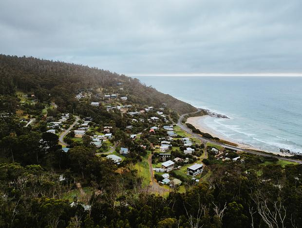 Photo 4 for Hilltop Haven: Forest Meets Ocean