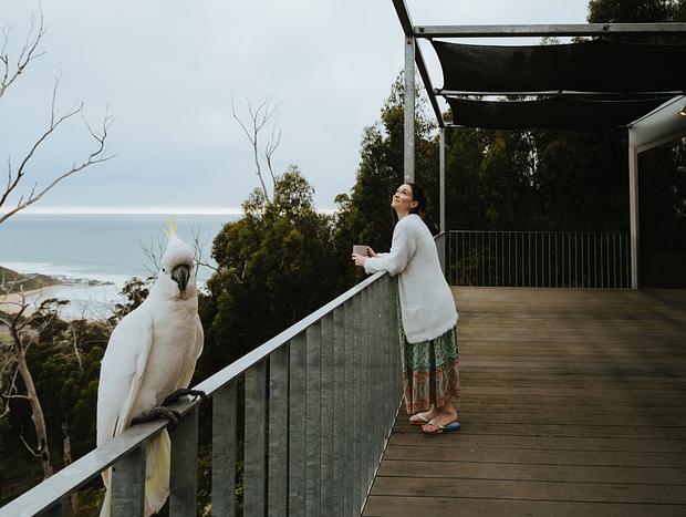 Photo 3 for Hilltop Haven: Forest Meets Ocean