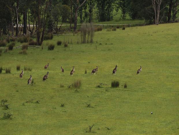 Photo 18 for Floating and Forests: A Tiny Adventure in the Yarra Valley