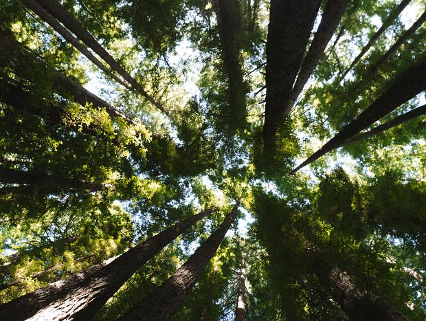 Photo 27 for Floating and Forests: A Tiny Adventure in the Yarra Valley
