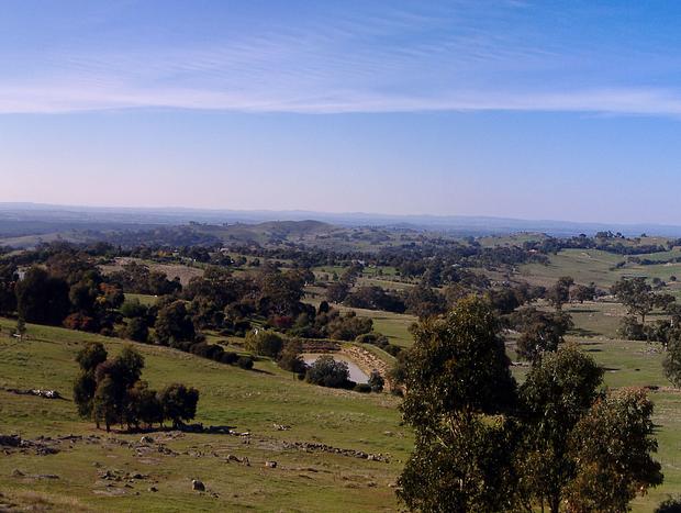 Photo 24 for Millduck Strawbale B&B ... Hideaway in the Hills with Alpacas