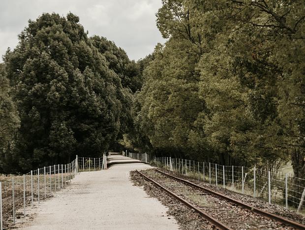 Photo 3 for Northern Rivers Rail Trail