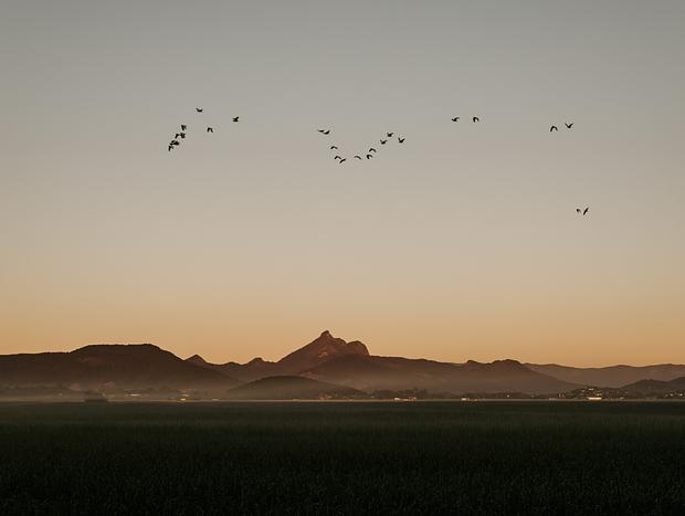 Photo 1 for Murwillumbah & Surrounds
