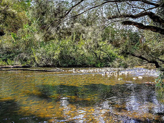 Kayaking and Fishing
