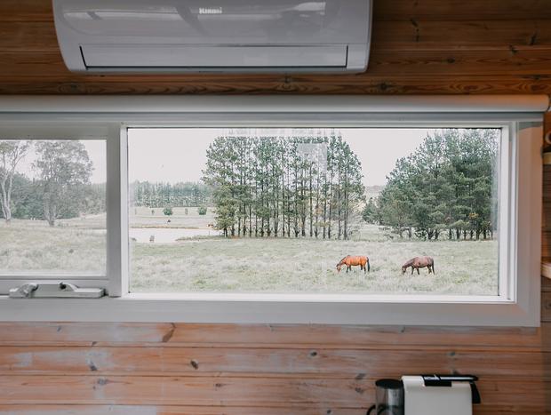 Photo 12 for Cozy stay full of heart & country air