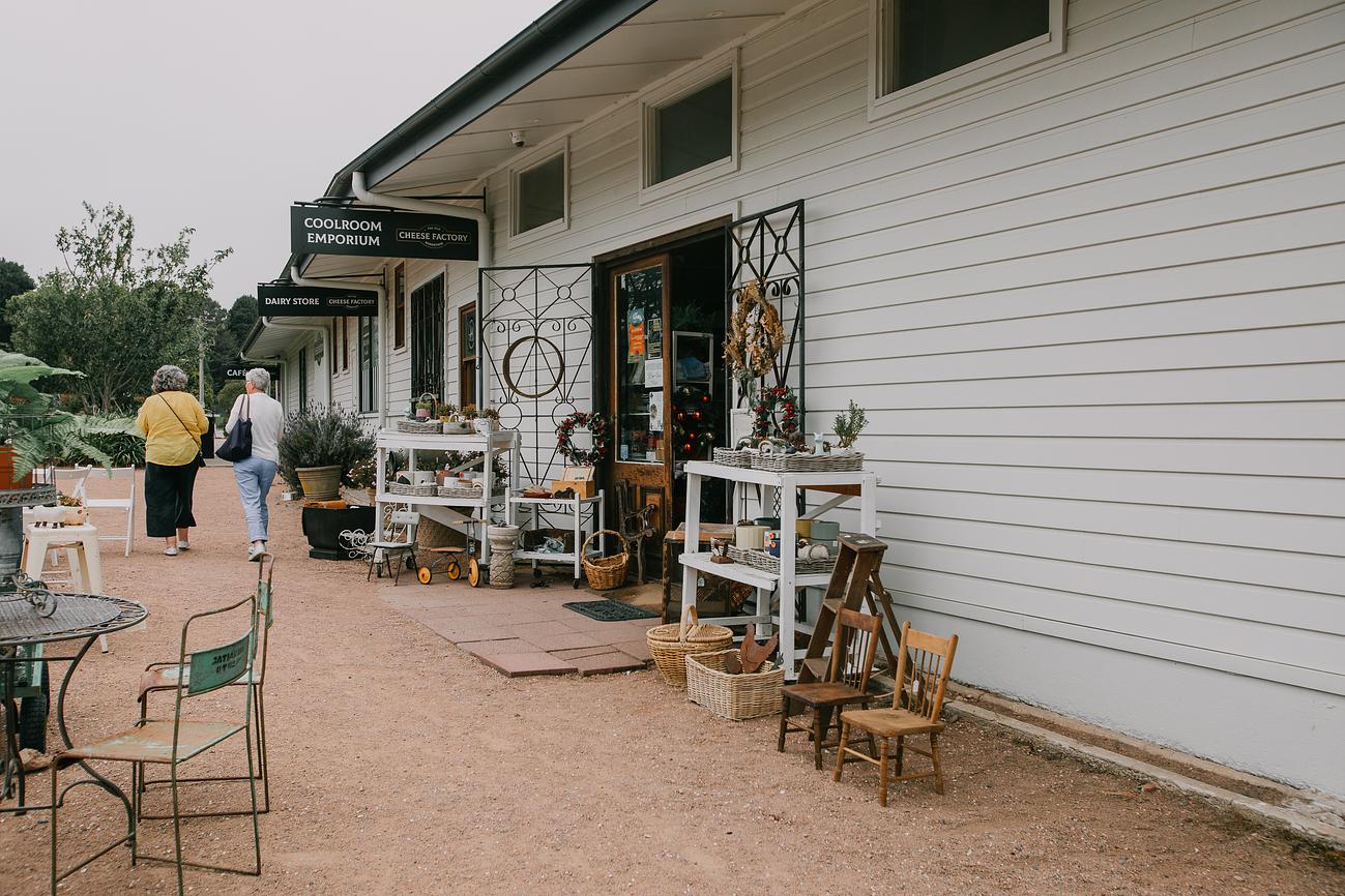 Exploring the Cool Room Emporium | Riparide