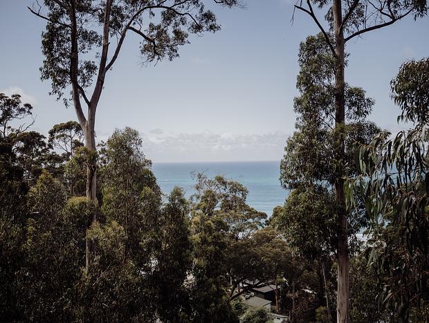 Photo 10 for Wonderful Views at Wye River