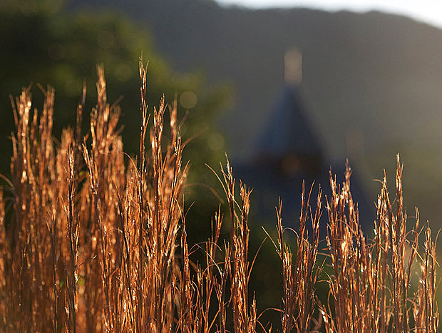 Photo 11 for The Chapel at Clarendon Forest Retreat