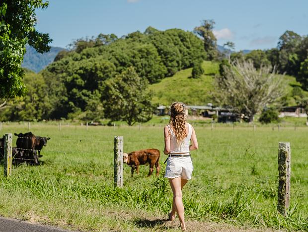 Photo 2 for undefined