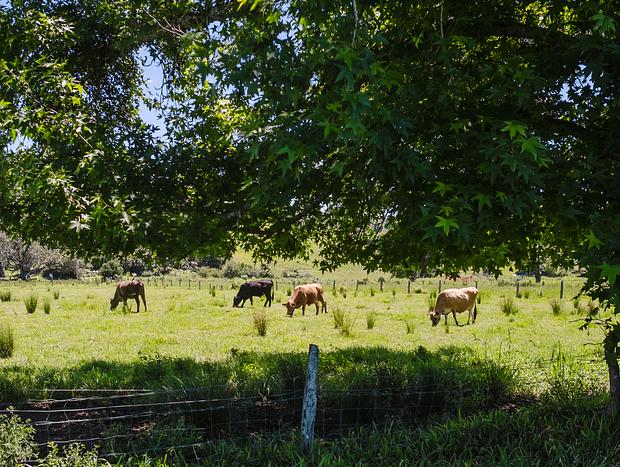 Photo 3 for undefined