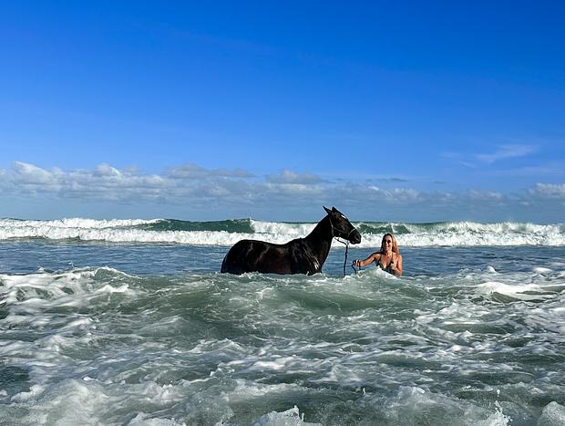 Photo 2 for You can lead a horse to water...