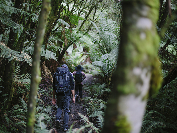 Photo 2 for Lake Elizabeth, Bushwalk
