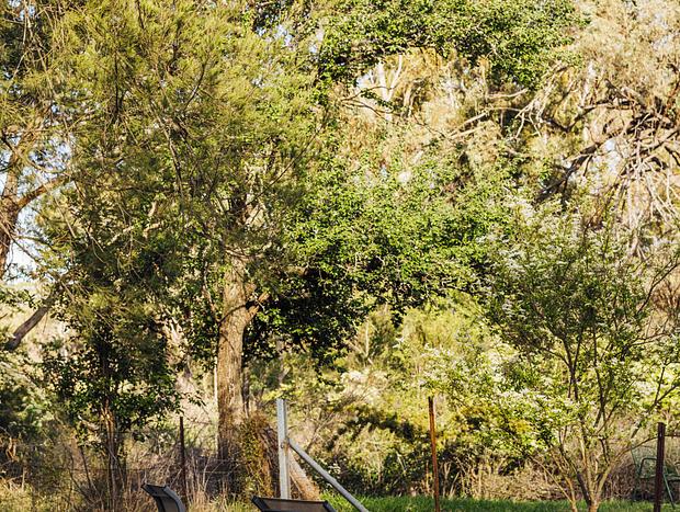 Photo 30 for Meadowbrook Tiny House - stay amongst the best of Orange wineries and nature